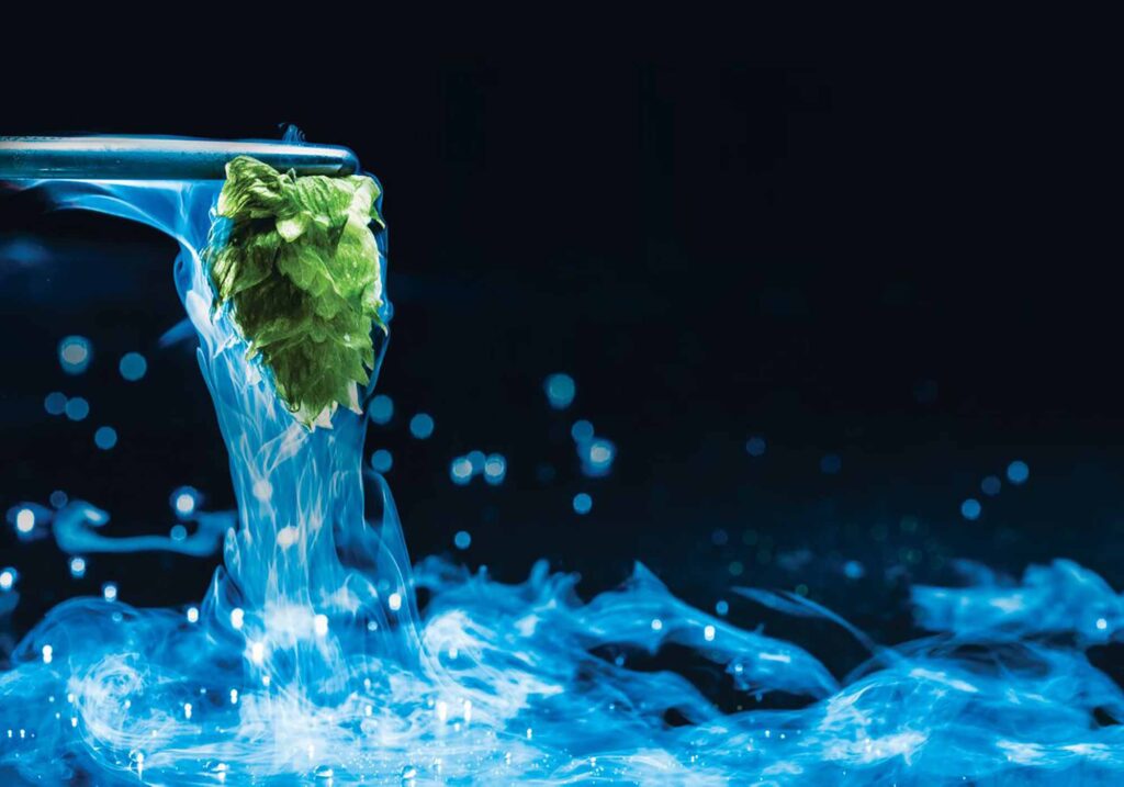 Створення нових сортів пива з використанням хмелю CRYO HOPS